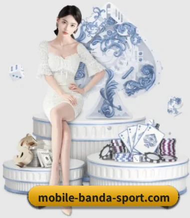 半岛综合 APP